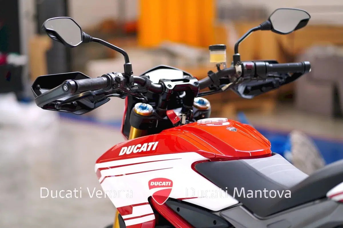 Ducati Hypermotard 939 SP (2016 - 18) (14)