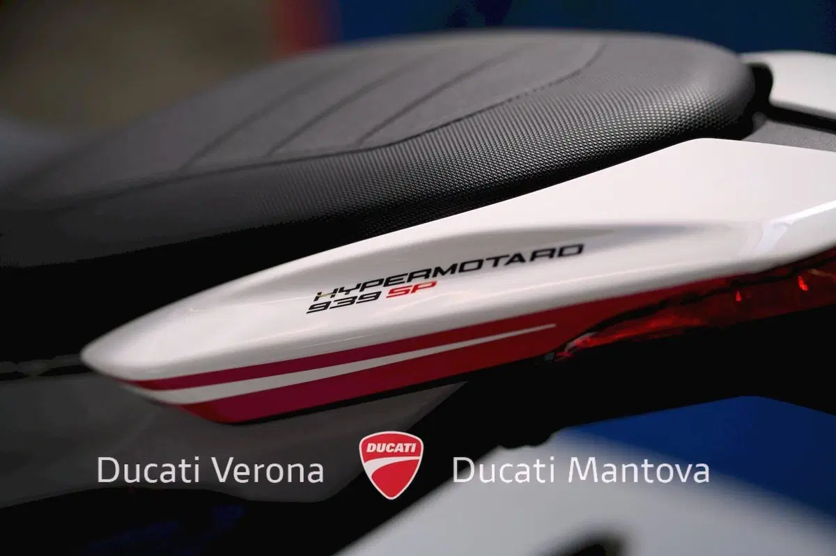 Ducati Hypermotard 939 SP (2016 - 18) (16)