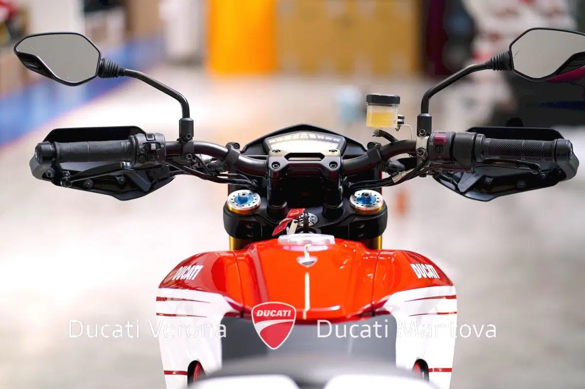 Ducati Hypermotard 939 SP (2016 - 18) (17)