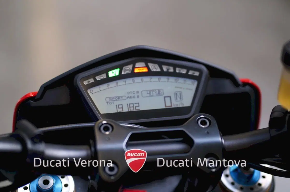 Ducati Hypermotard 939 SP (2016 - 18) (18)