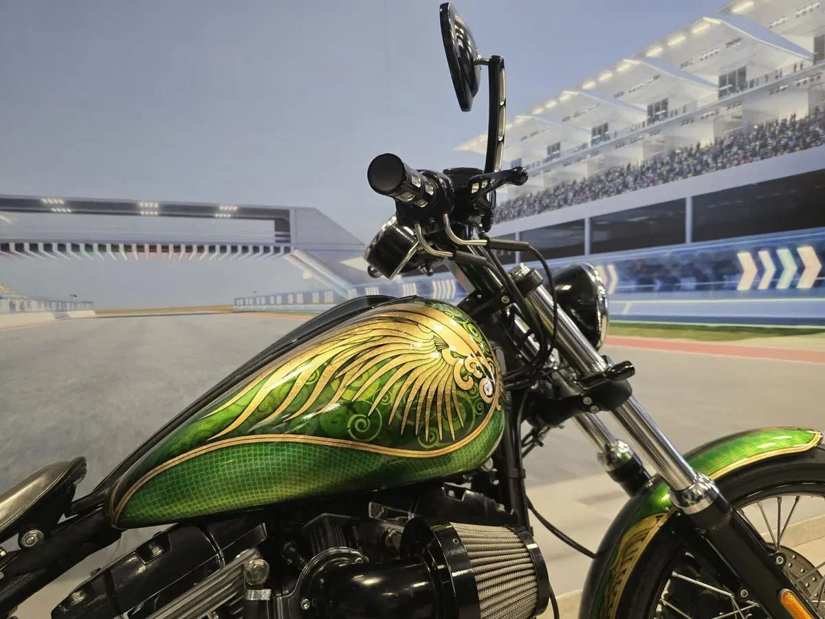 Harley-Davidson 1584 Blackline (2011 - 13) - FXS (14)