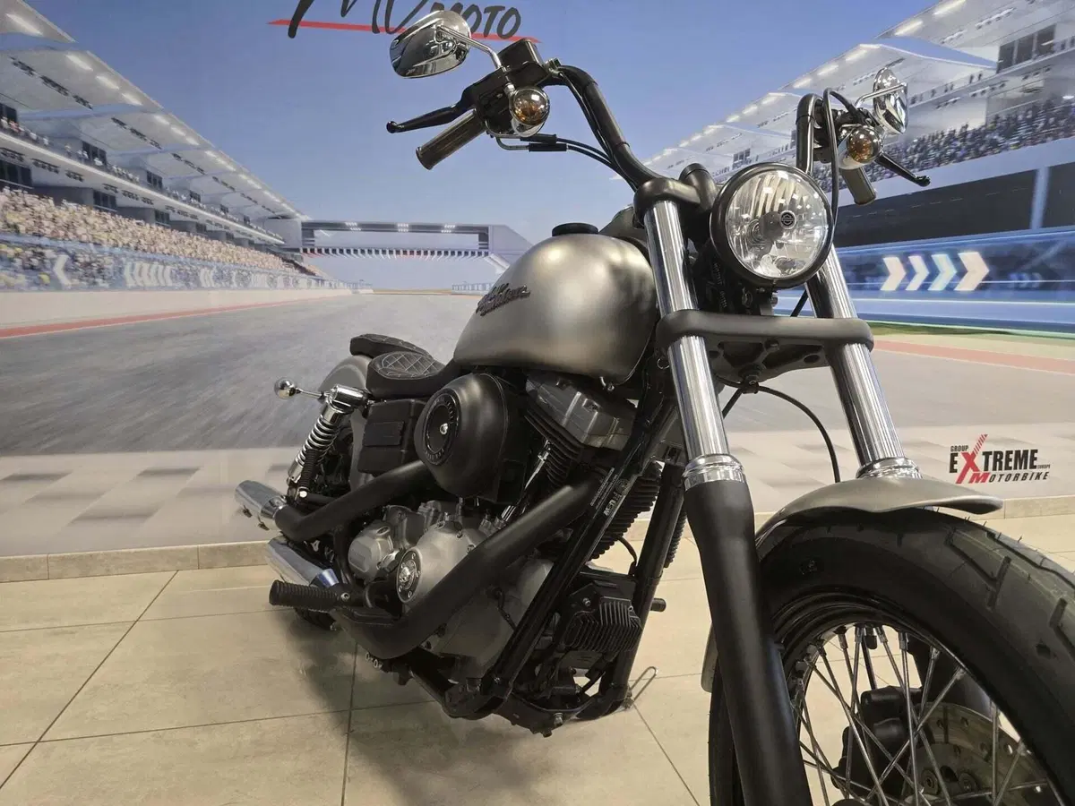 Harley-Davidson 1584 Street Bob (2008 - 15) - FXDB (13)