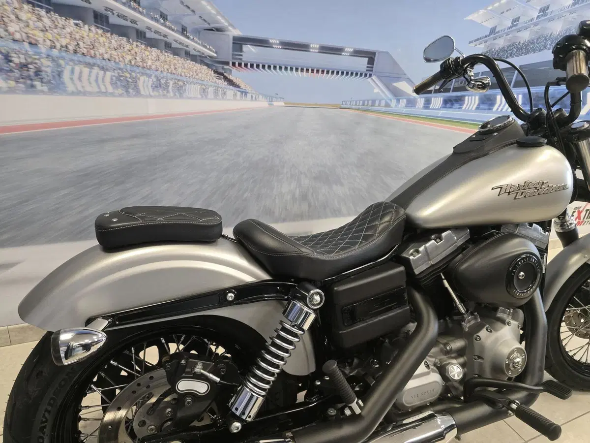 Harley-Davidson 1584 Street Bob (2008 - 15) - FXDB (18)