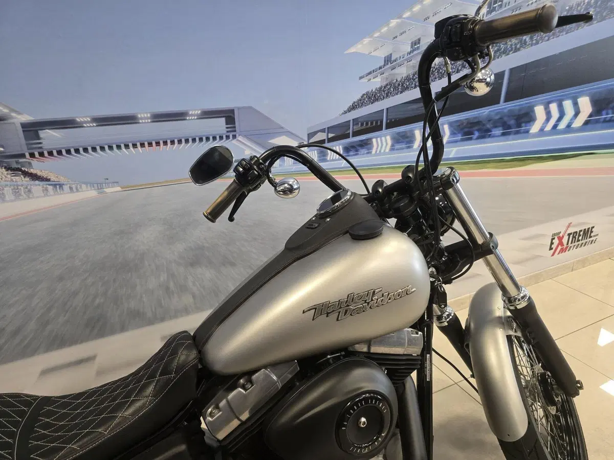 Harley-Davidson 1584 Street Bob (2008 - 15) - FXDB (19)
