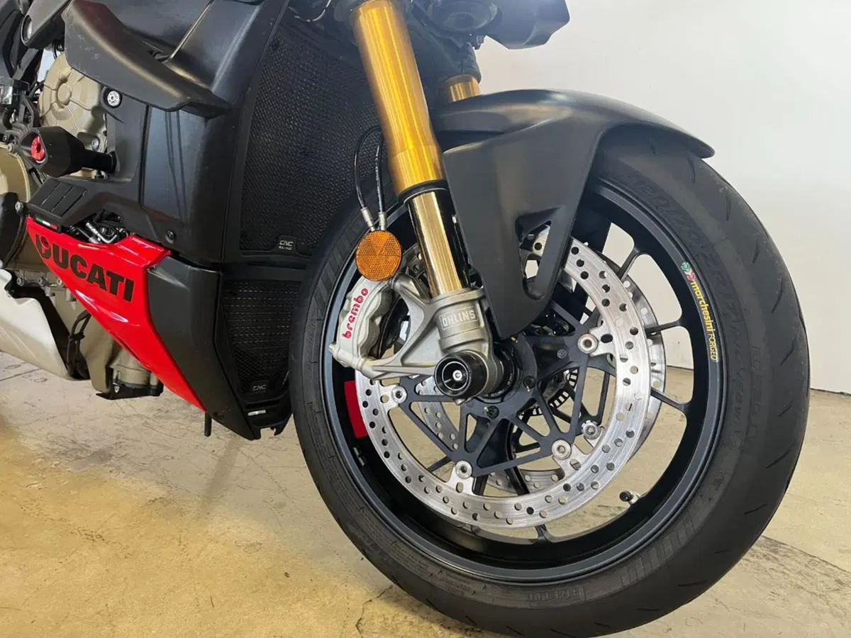 Ducati Streetfighter V4 S (2023 - 24) (4)