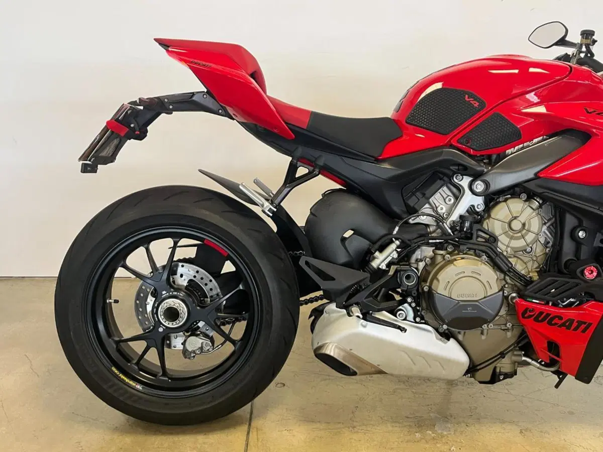 Ducati Streetfighter V4 S (2023 - 24) (6)
