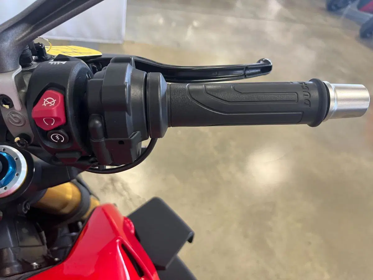 Ducati Streetfighter V4 S (2023 - 24) (11)