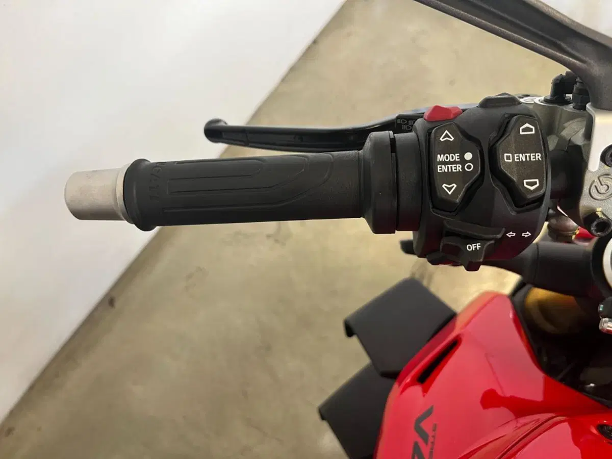 Ducati Streetfighter V4 S (2023 - 24) (12)