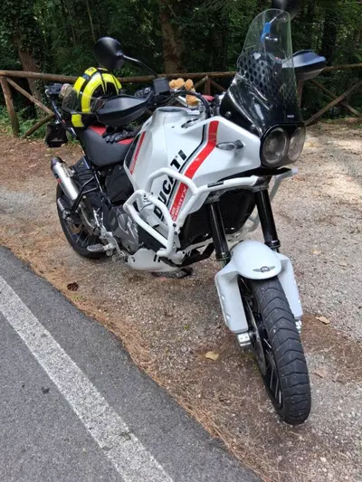 Ducati DesertX (2022 - 25) usata