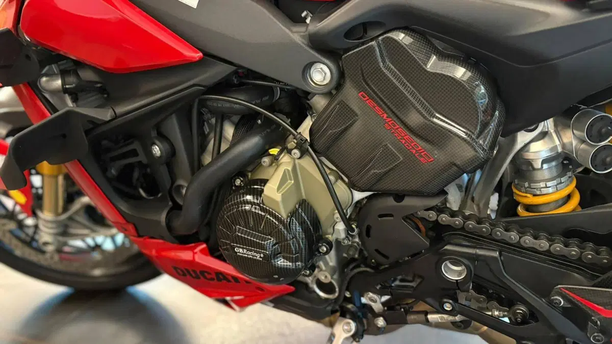 Ducati Streetfighter V4 S (2023 - 24) (6)