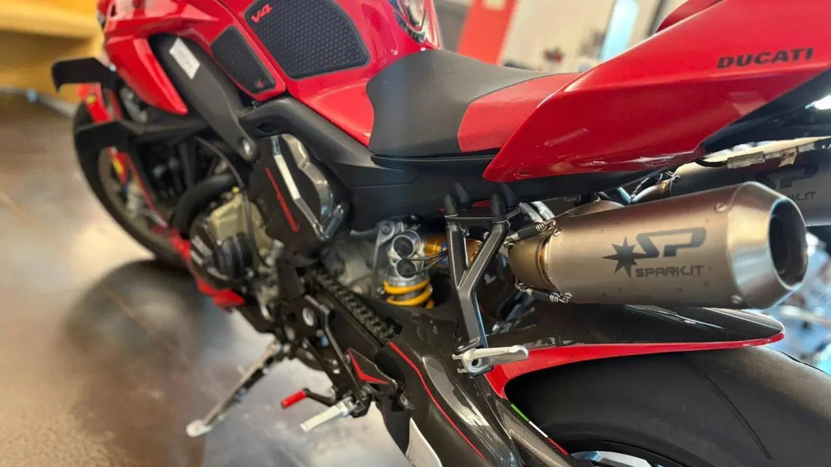Ducati Streetfighter V4 S (2023 - 24) (8)