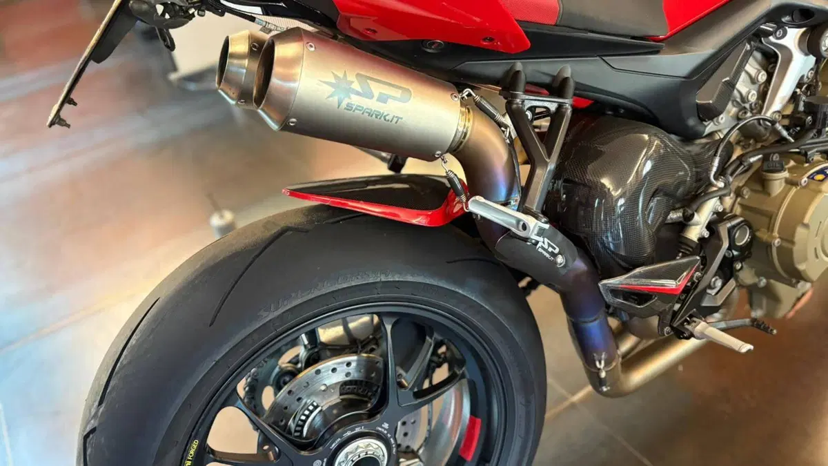 Ducati Streetfighter V4 S (2023 - 24) (12)