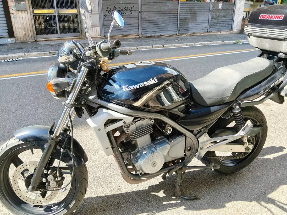 Kawasaki ER-5 500 (2001 - 06) (2)
