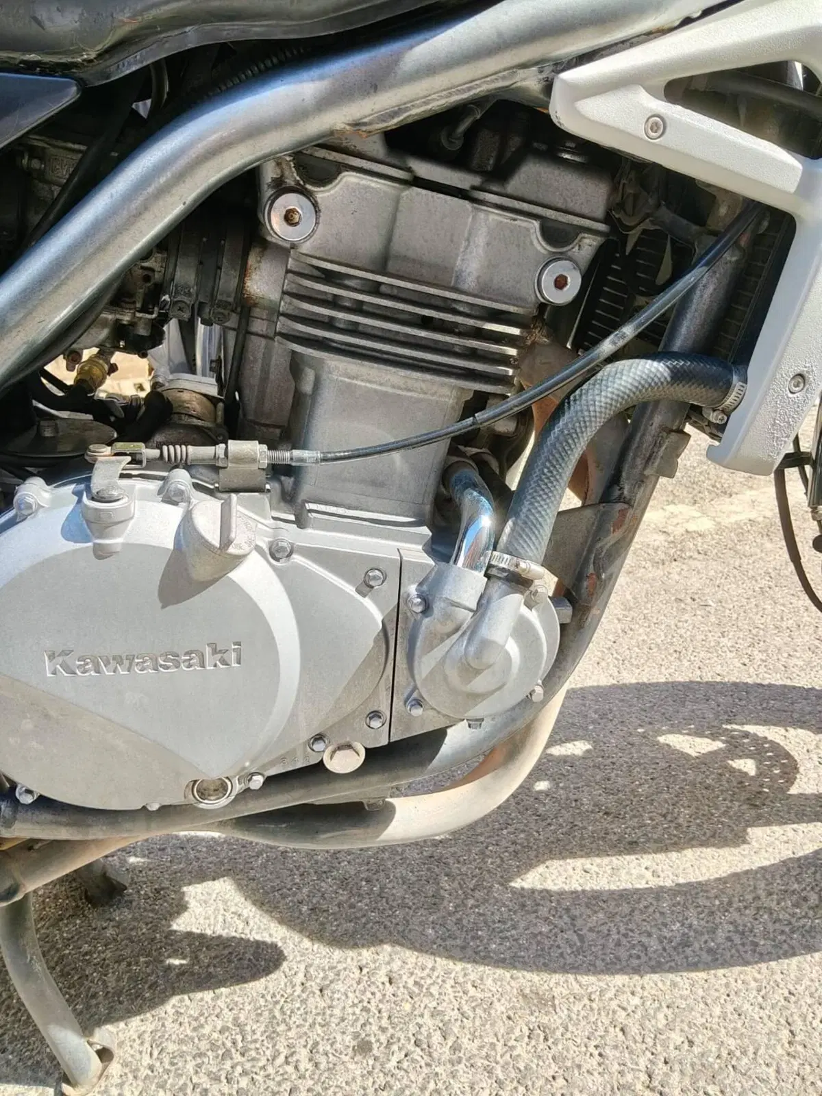 Kawasaki ER-5 500 (2001 - 06) (5)