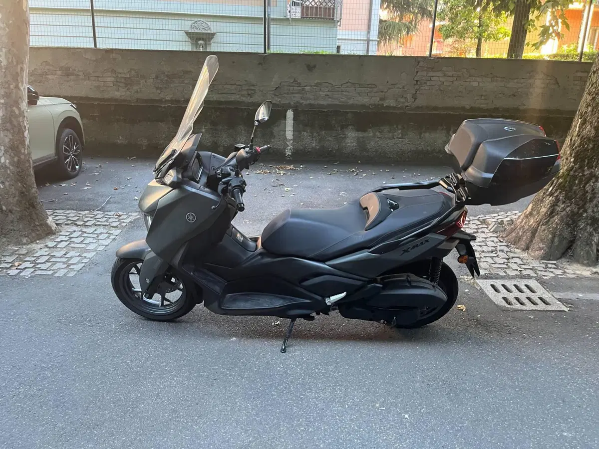 Yamaha X-Max 125 (2025 - 26) (2)