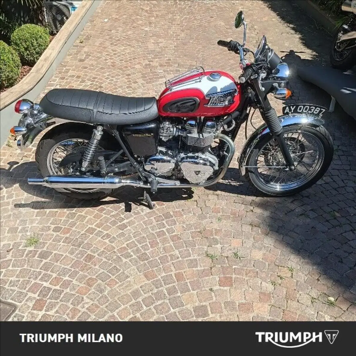 Triumph Bonneville T100 (2001 - 07)