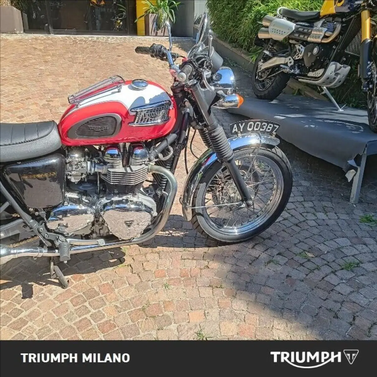 Triumph Bonneville T100 (2001 - 07) (3)