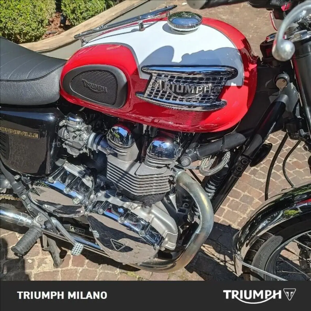 Triumph Bonneville T100 (2001 - 07) (4)