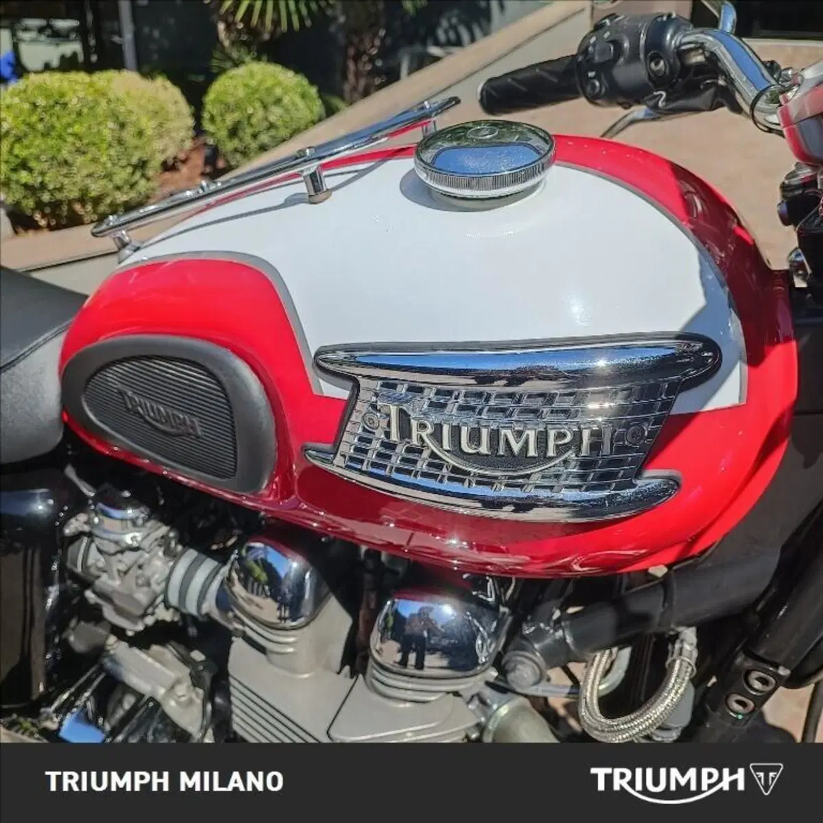 Triumph Bonneville T100 (2001 - 07) (6)