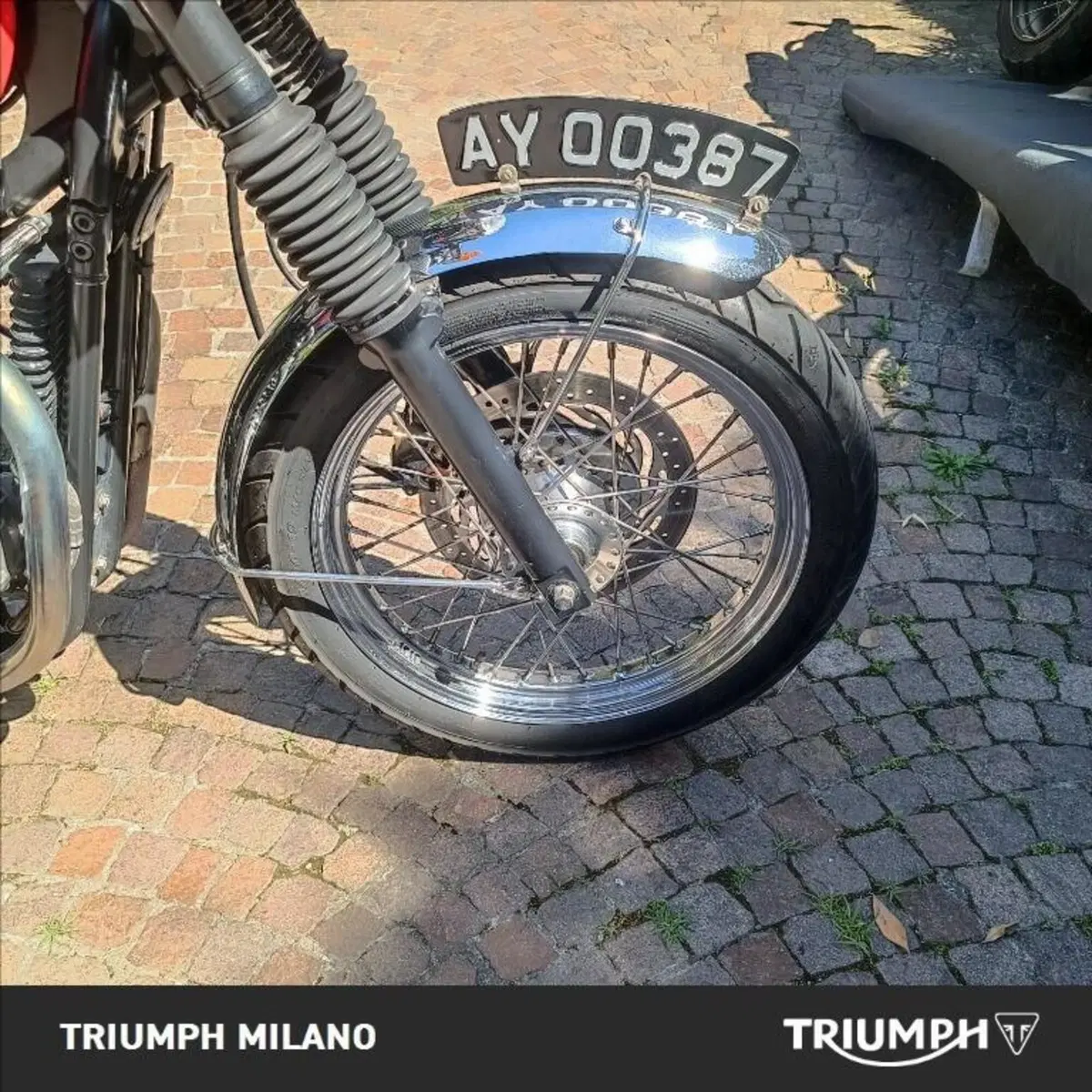 Triumph Bonneville T100 (2001 - 07) (7)