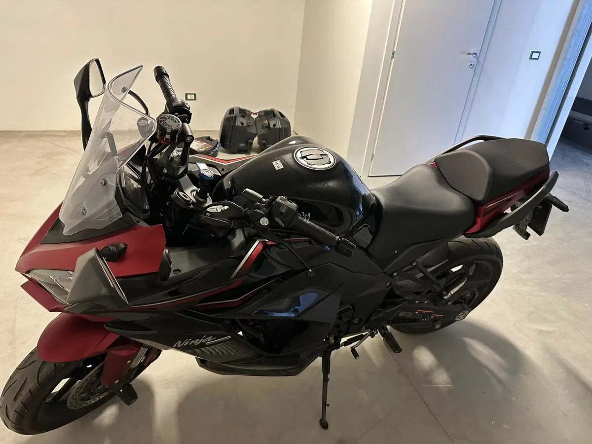 Kawasaki Ninja 1000 SX (2021 - 24) (3)