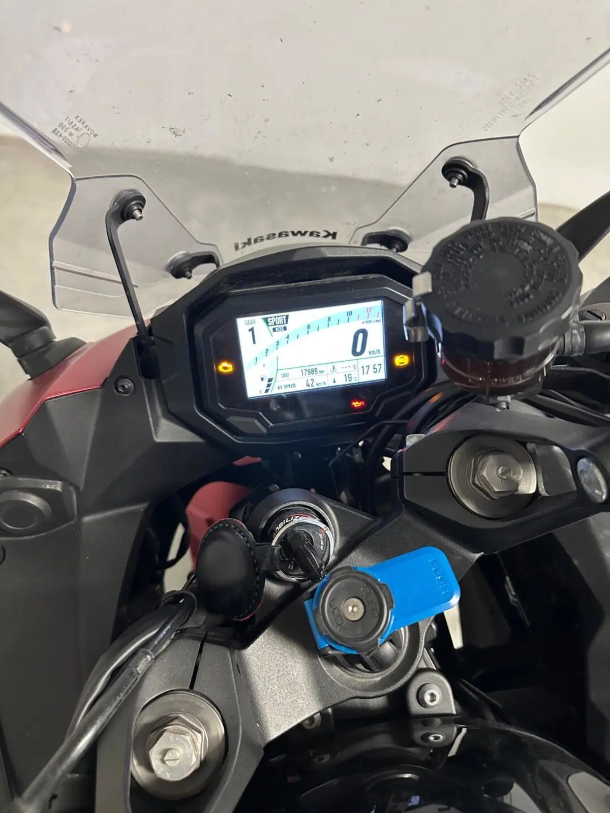 Kawasaki Ninja 1000 SX (2021 - 24) (6)