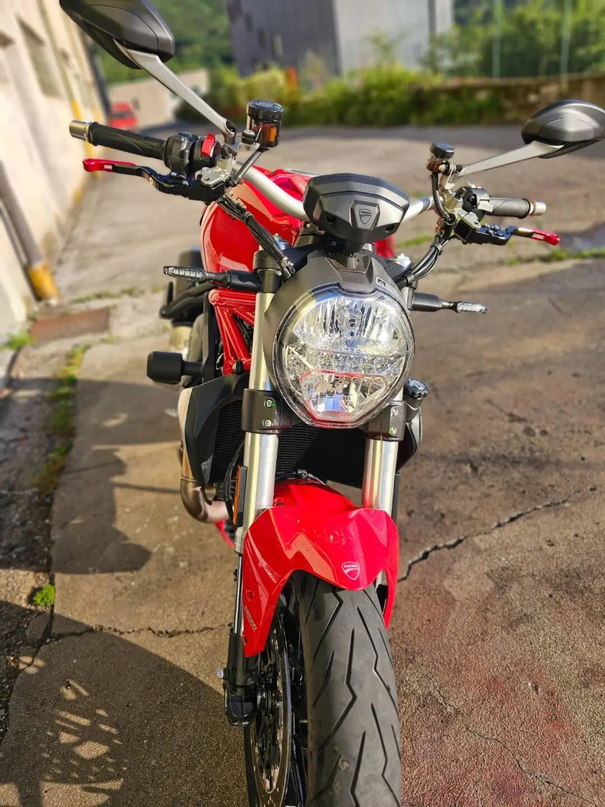 Ducati Monster 1200 (2017 - 21) (6)