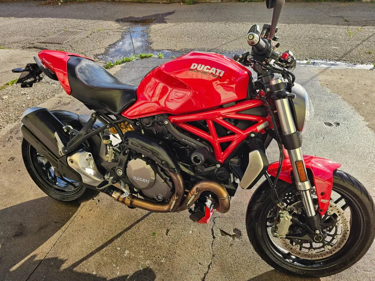 Ducati Monster 1200 (2017 - 21) (12)