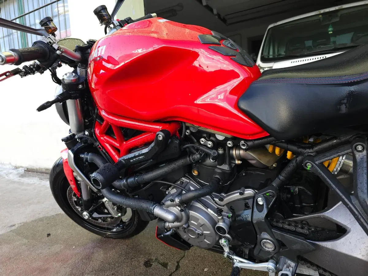 Ducati Monster 1200 (2017 - 21) (16)