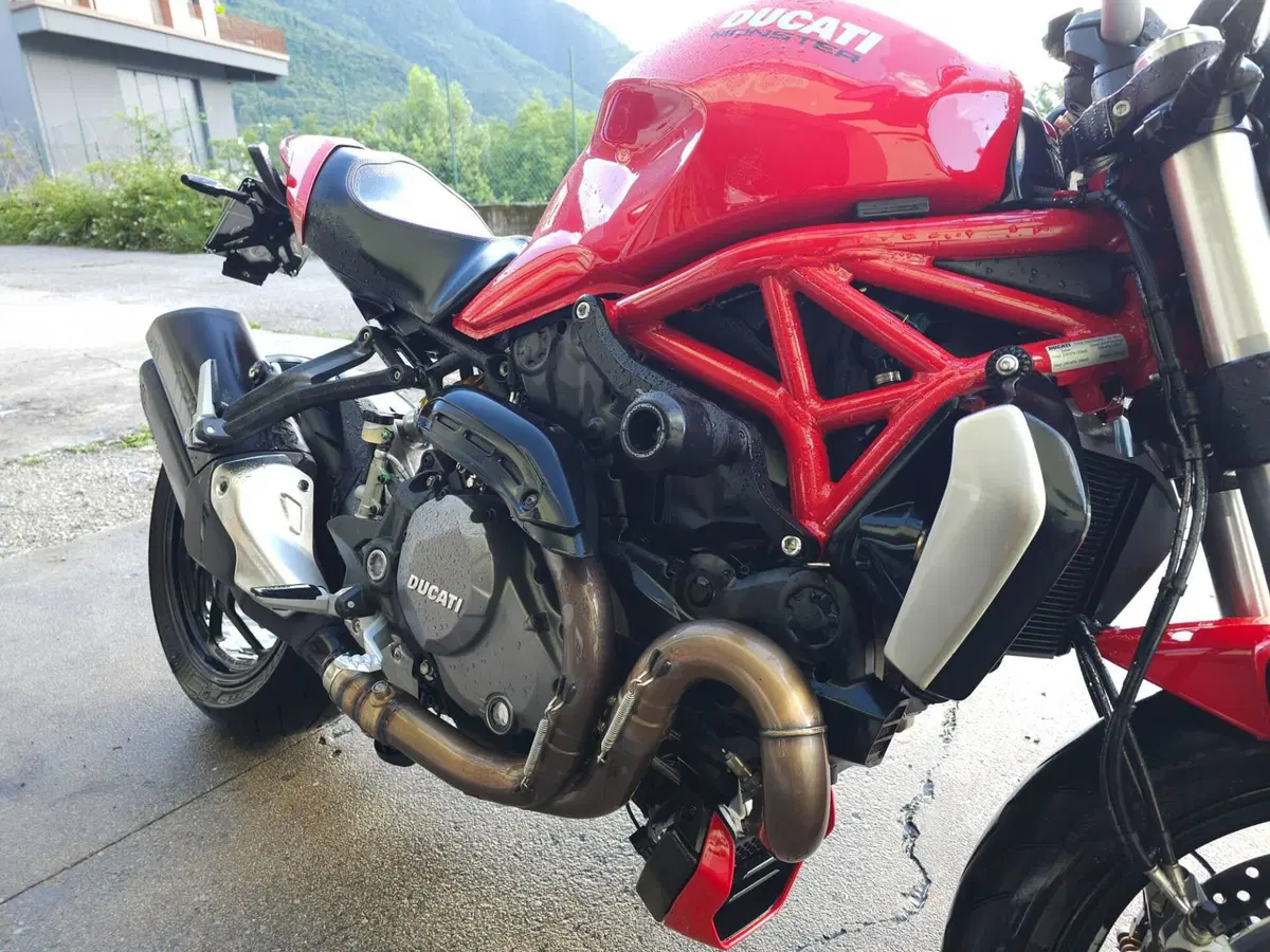 Ducati Monster 1200 (2017 - 21) (20)