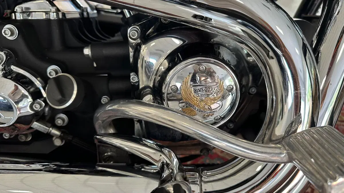 Harley-Davidson 1690 Low Rider (2014 - 17) - FXDL (14)