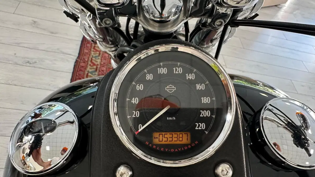 Harley-Davidson 1690 Low Rider (2014 - 17) - FXDL (9)