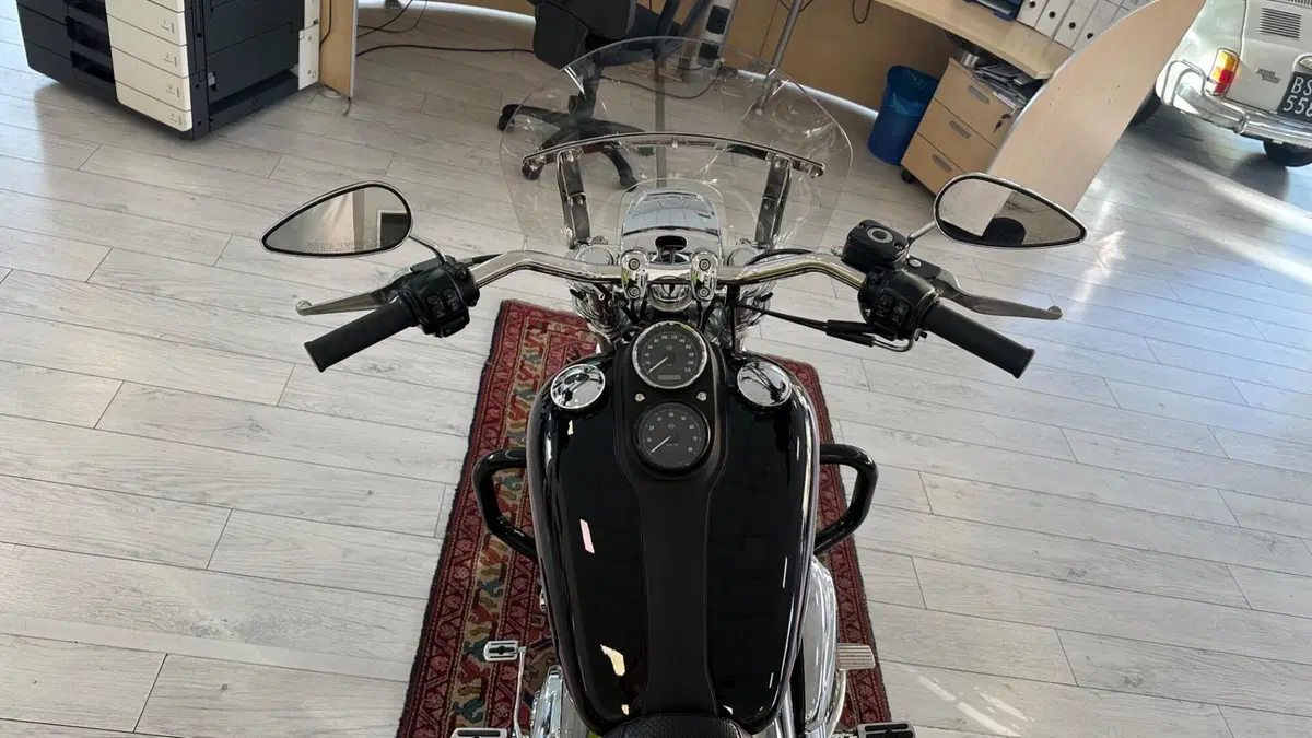 Harley-Davidson 1690 Low Rider (2014 - 17) - FXDL (8)