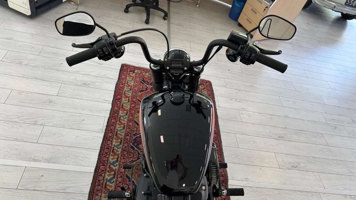 Harley-Davidson Street Bob 114 (2021 - 24) (8)