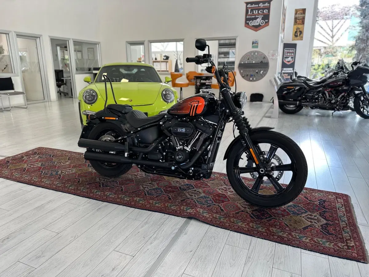 Harley-Davidson Street Bob 114 (2021 - 24)