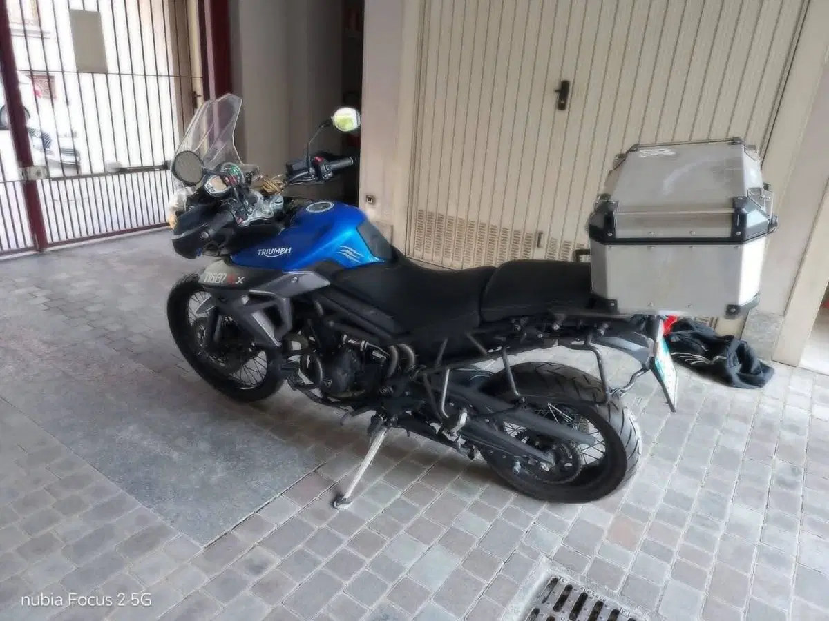 Triumph Tiger 800 XCx (2015 - 17) (6)