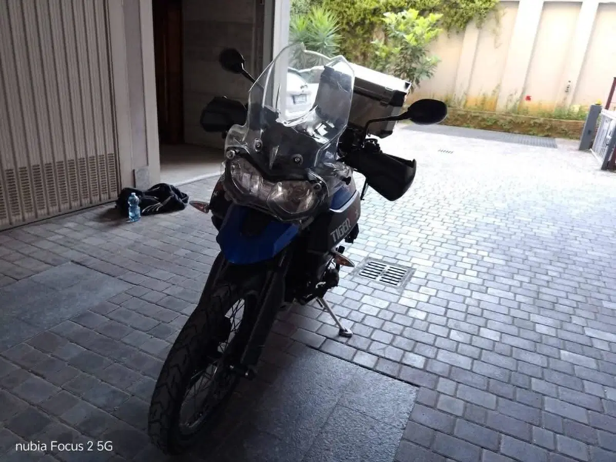 Triumph Tiger 800 XCx (2015 - 17) (9)