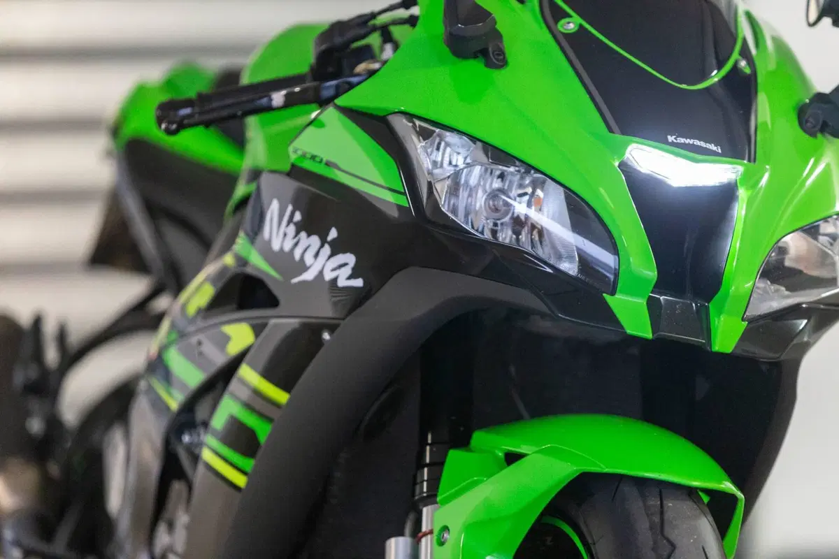 Kawasaki Ninja 1000 ZX-10R (2017 - 18) (7)