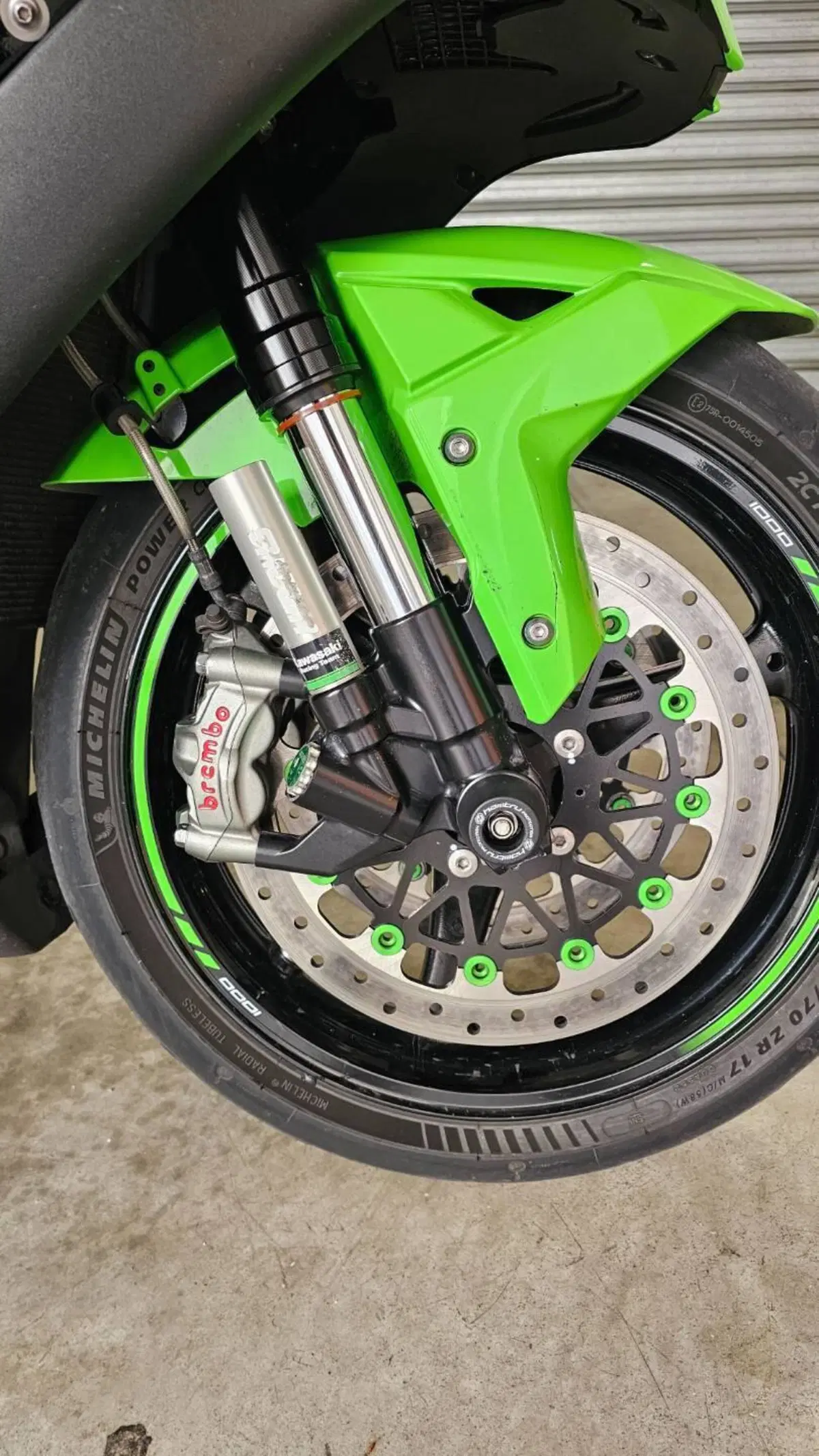 Kawasaki Ninja 1000 ZX-10R (2017 - 18) (10)