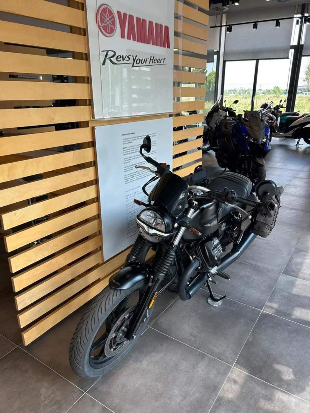 Moto Guzzi V7 Stone (2021 - 24) (4)