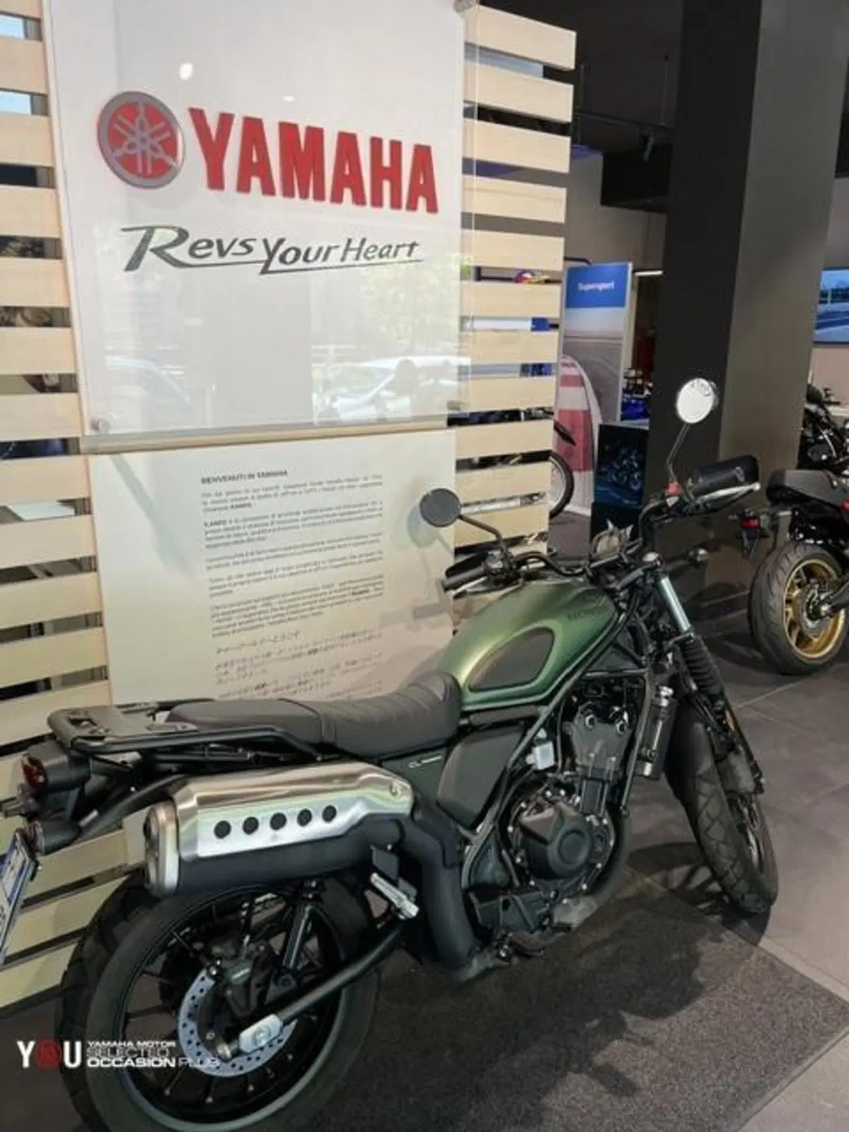 Honda CL500 (2025 - 26) (3)