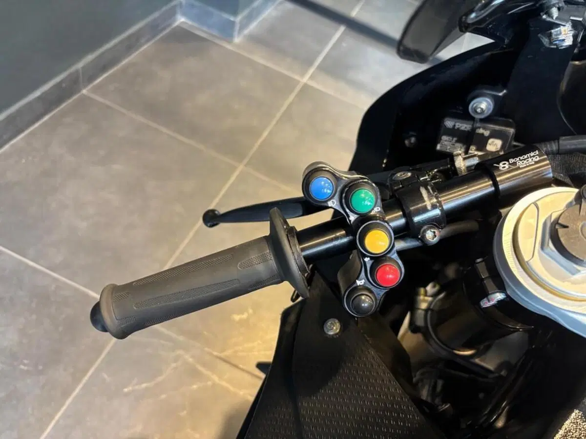 Bmw S 1000 RR (2015 - 16) (7)