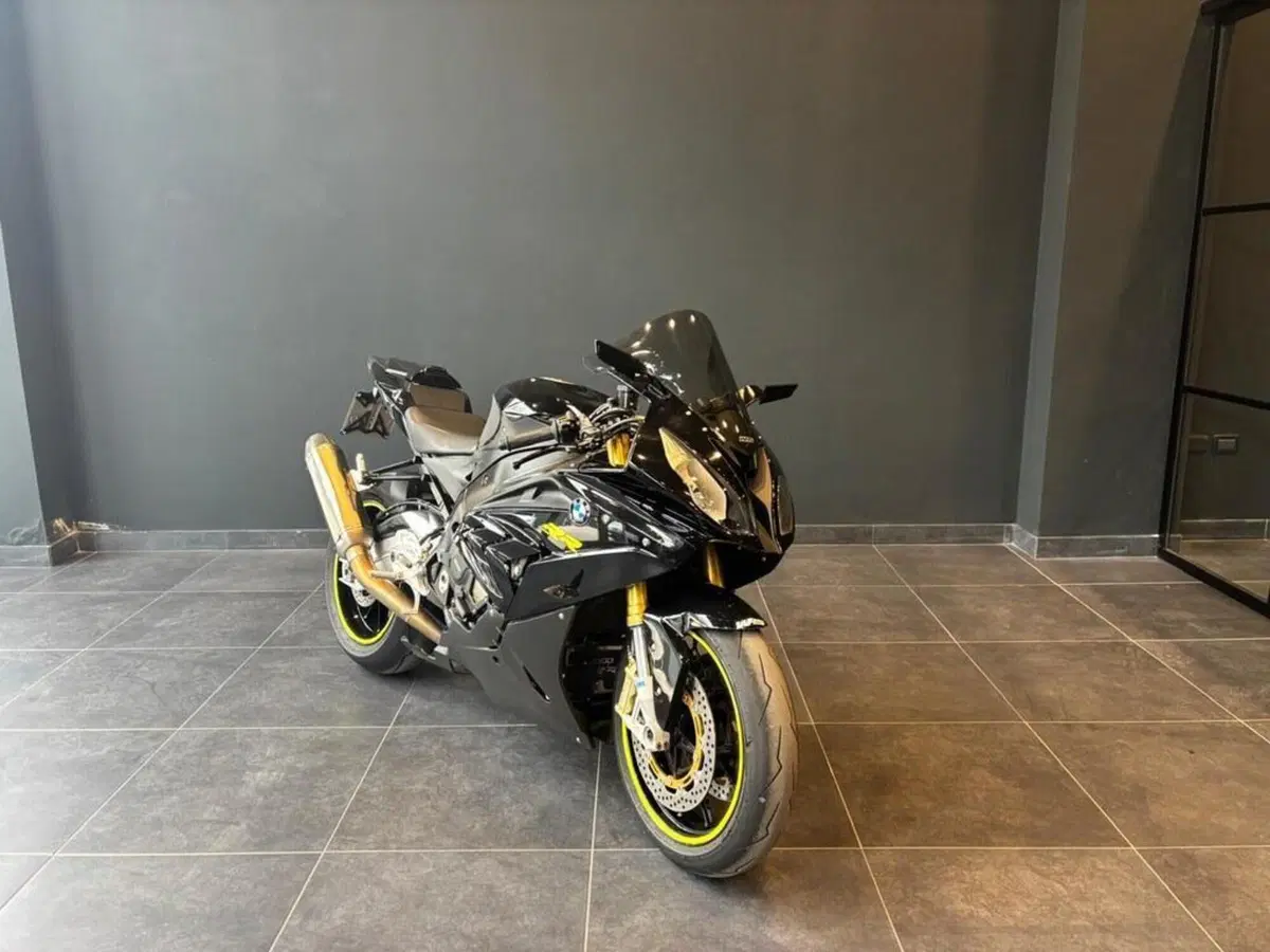 Bmw S 1000 RR (2015 - 16) (2)