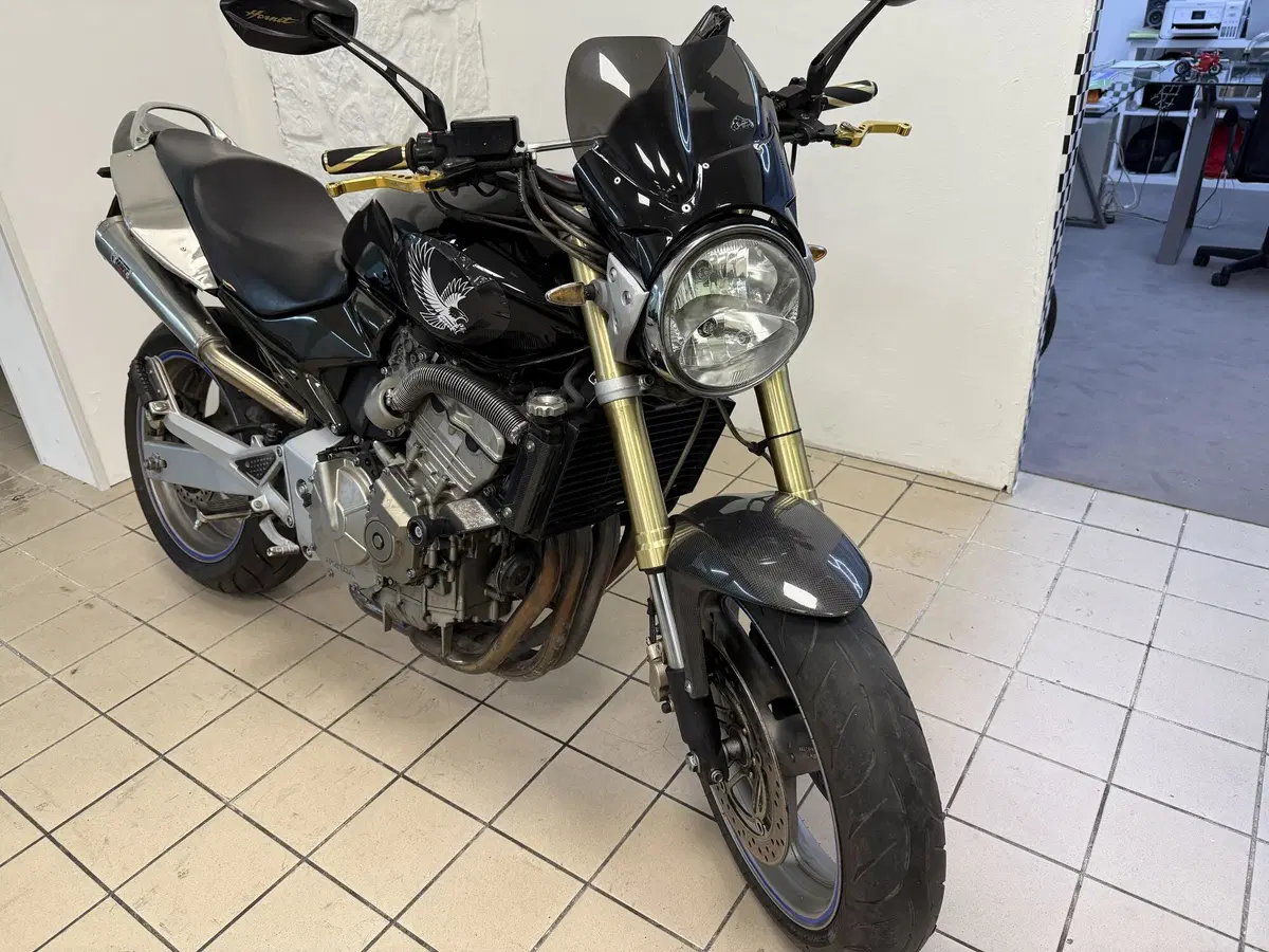 Honda Hornet 600 (2005 - 06) (3)
