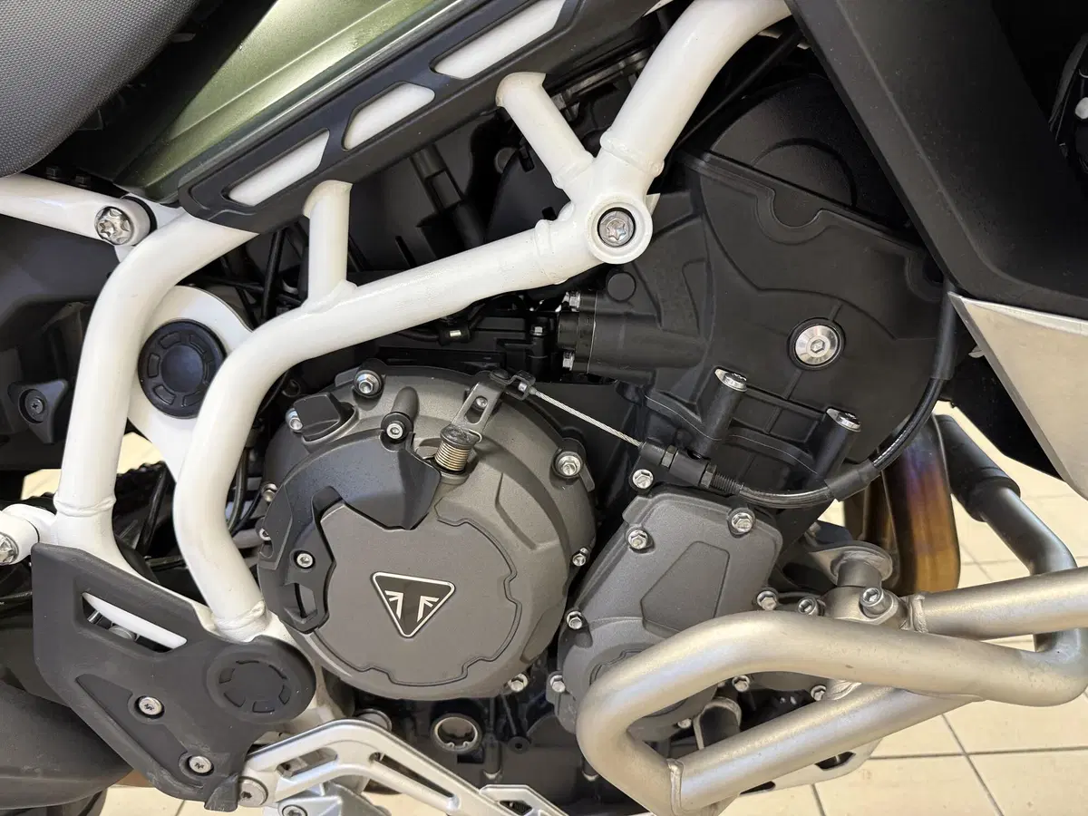 Triumph Tiger 900 Rally Pro (2020 - 23) (9)