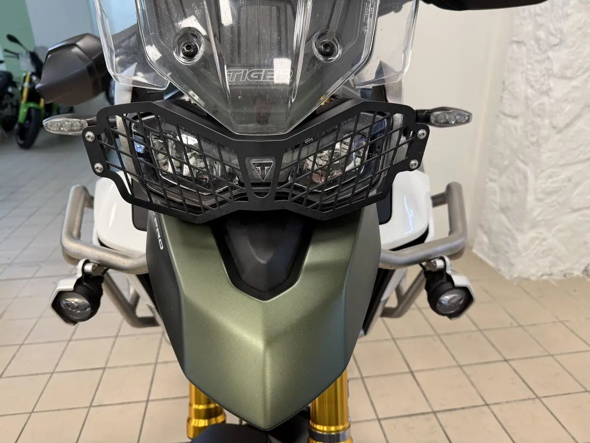 Triumph Tiger 900 Rally Pro (2020 - 23) (10)