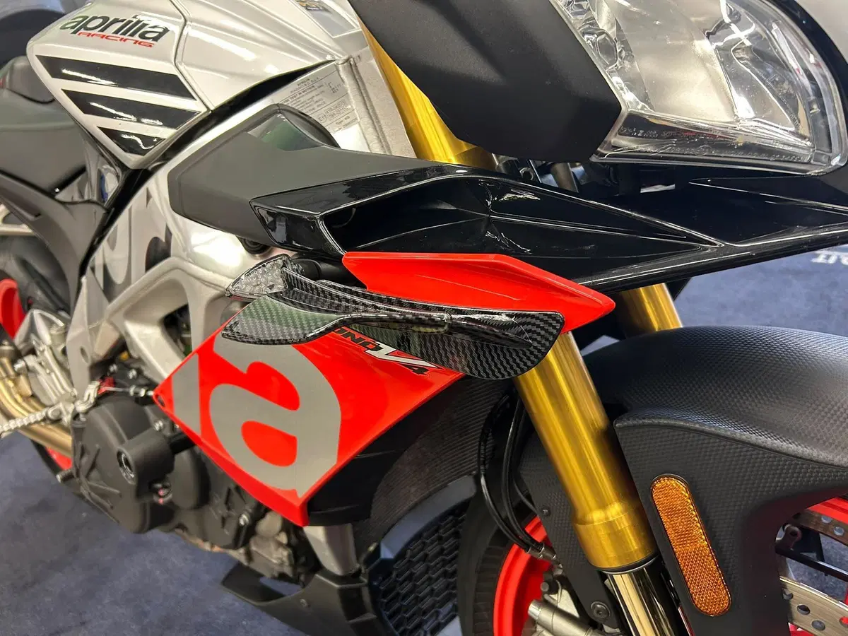 Aprilia Tuono V4 Factory (2017 - 18) (11)