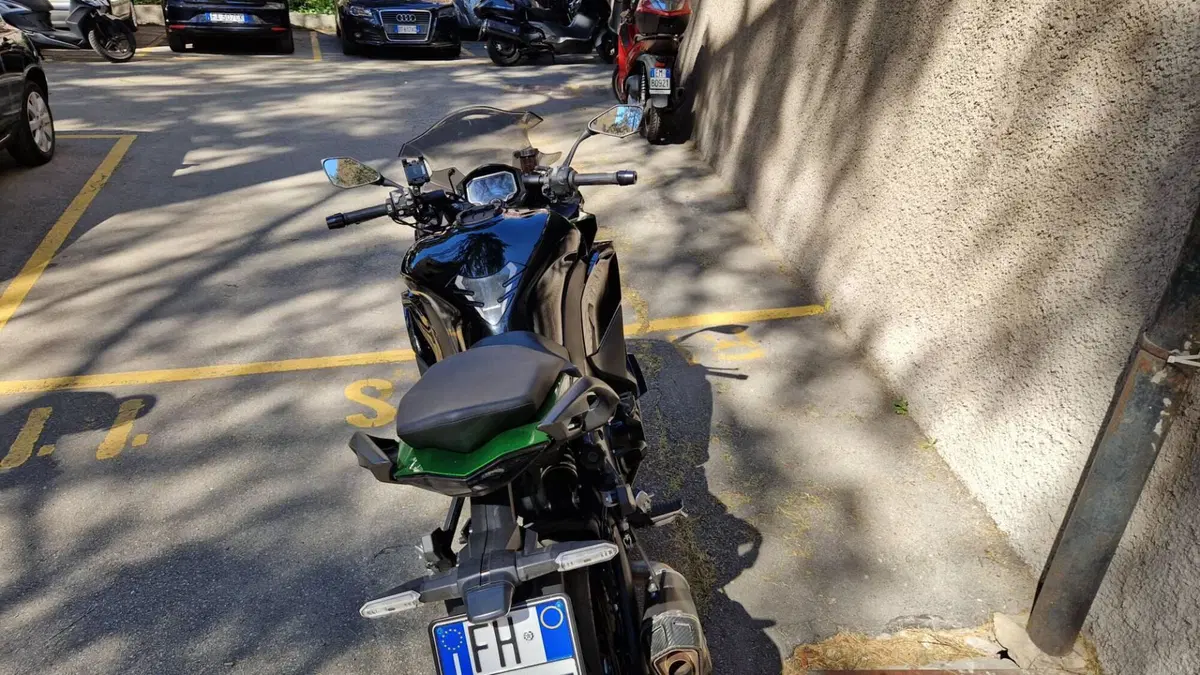 Kawasaki Ninja 1000 SX Tourer (2021 - 24) (9)