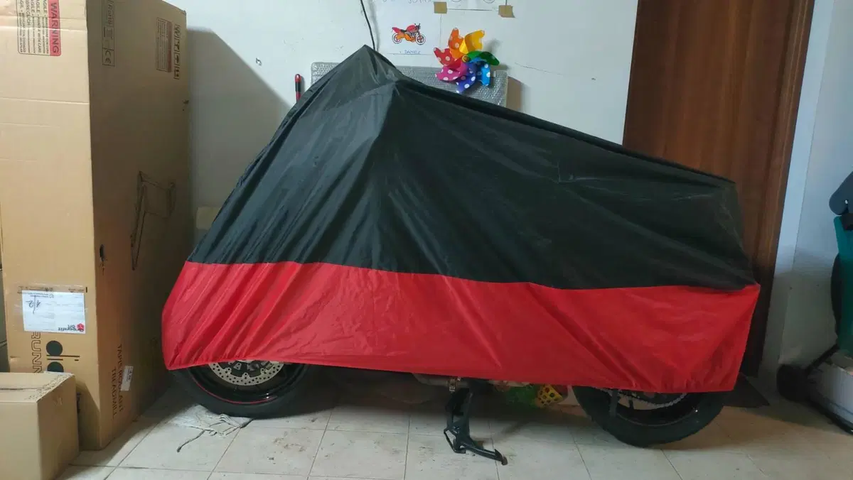 Ducati Multistrada 950 S (2021) (7)