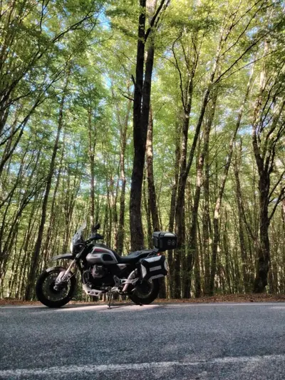 Moto Guzzi V85 TT Travel (2021 - 23) usata
